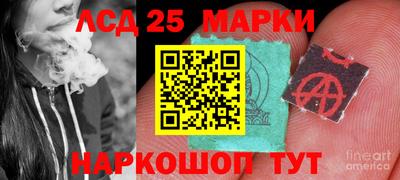 прущие грибы Нальчик