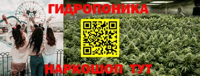 прущие грибы Нальчик