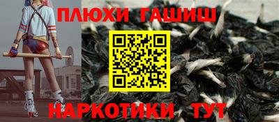прущие грибы Нальчик