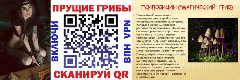 гидра ТОР Чебоксары Псилоцибиновые грибы MAGIC MUSHROOMS