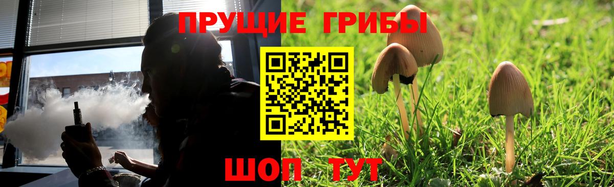 магазин  наркотиков  Псилоцибиновые грибы Cubensis  Чебоксары  Вход с VPN  Псилоцибиновые грибы MAGIC MUSHROOMS 