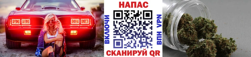 omg как войти  Чебоксары  Шишки марихуана план 